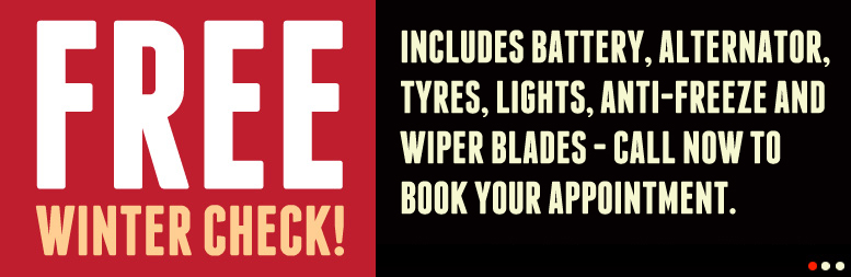 Free Winter Check - Includes battery, alternator, tyres, lights, anti-freeze and wiper blades - call now to book your appointment